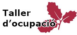 Taller ocupacio