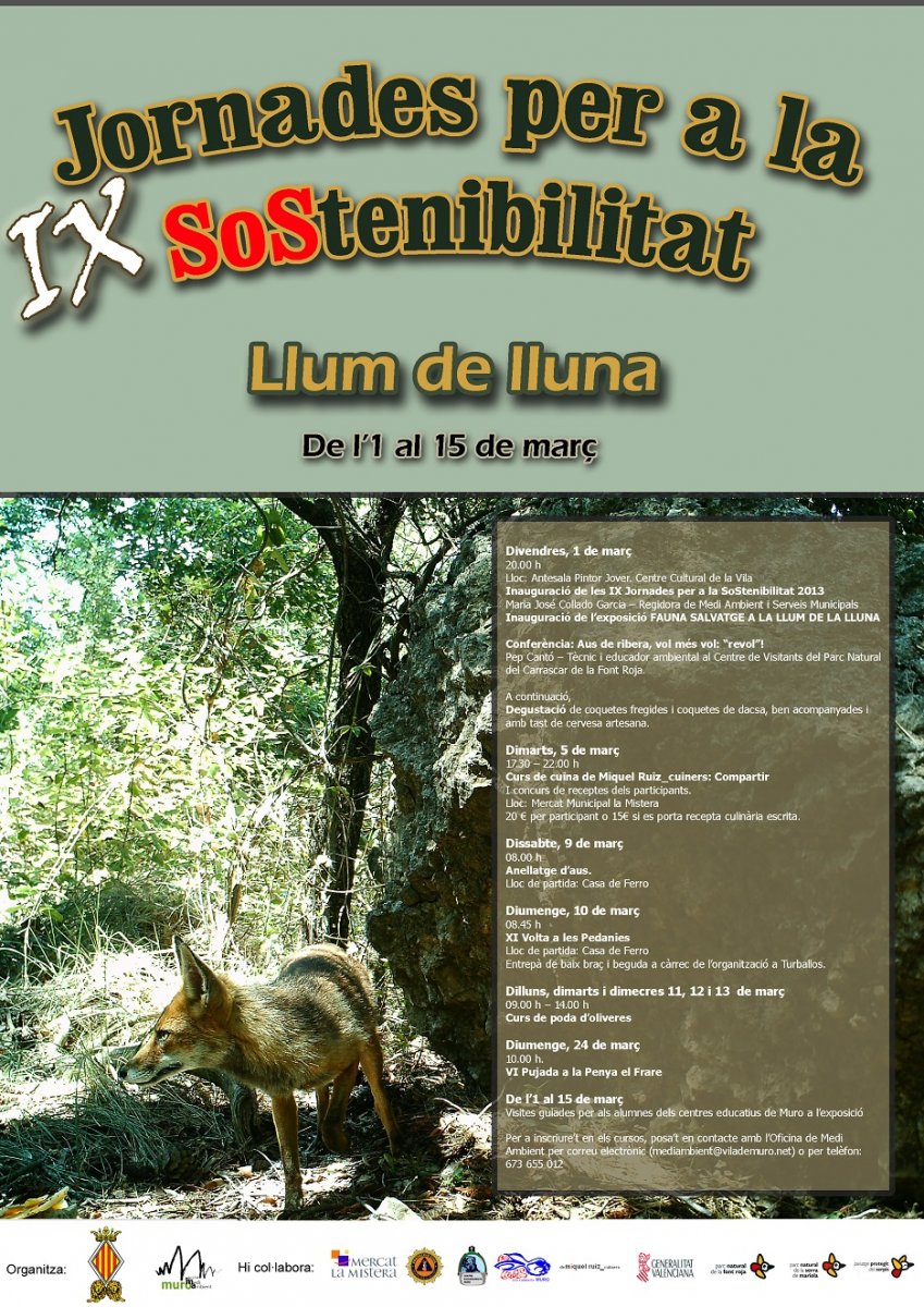 2013 cartel jornades sostenibilitat