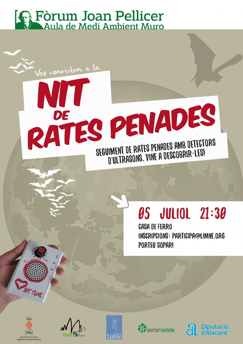 Nit de rates penades