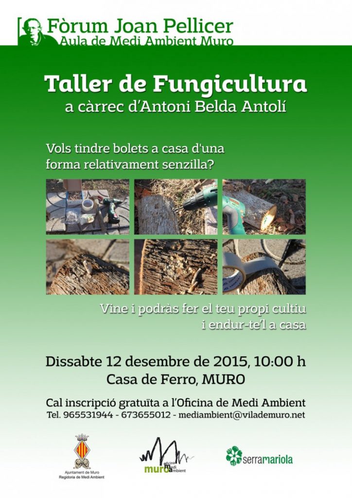 CARTELL TALLER FUNGICULTURA