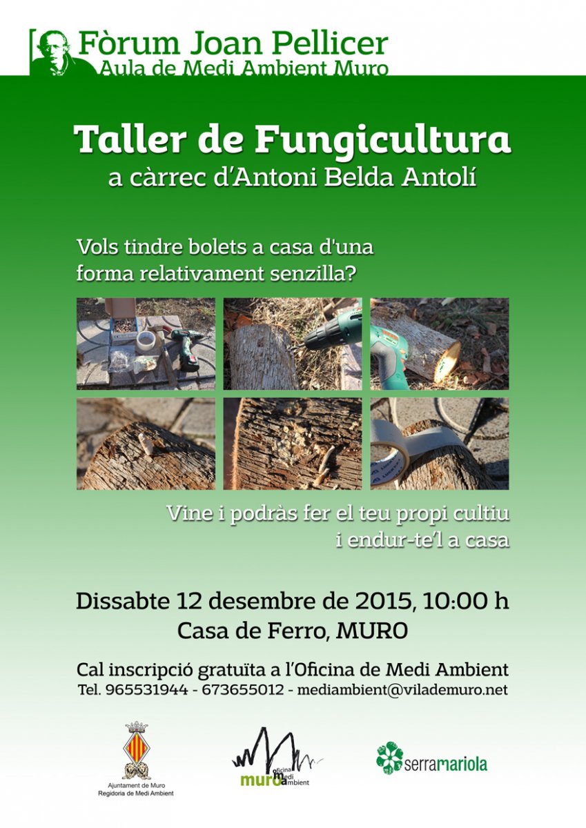 CARTELL TALLER FUNGICULTURA